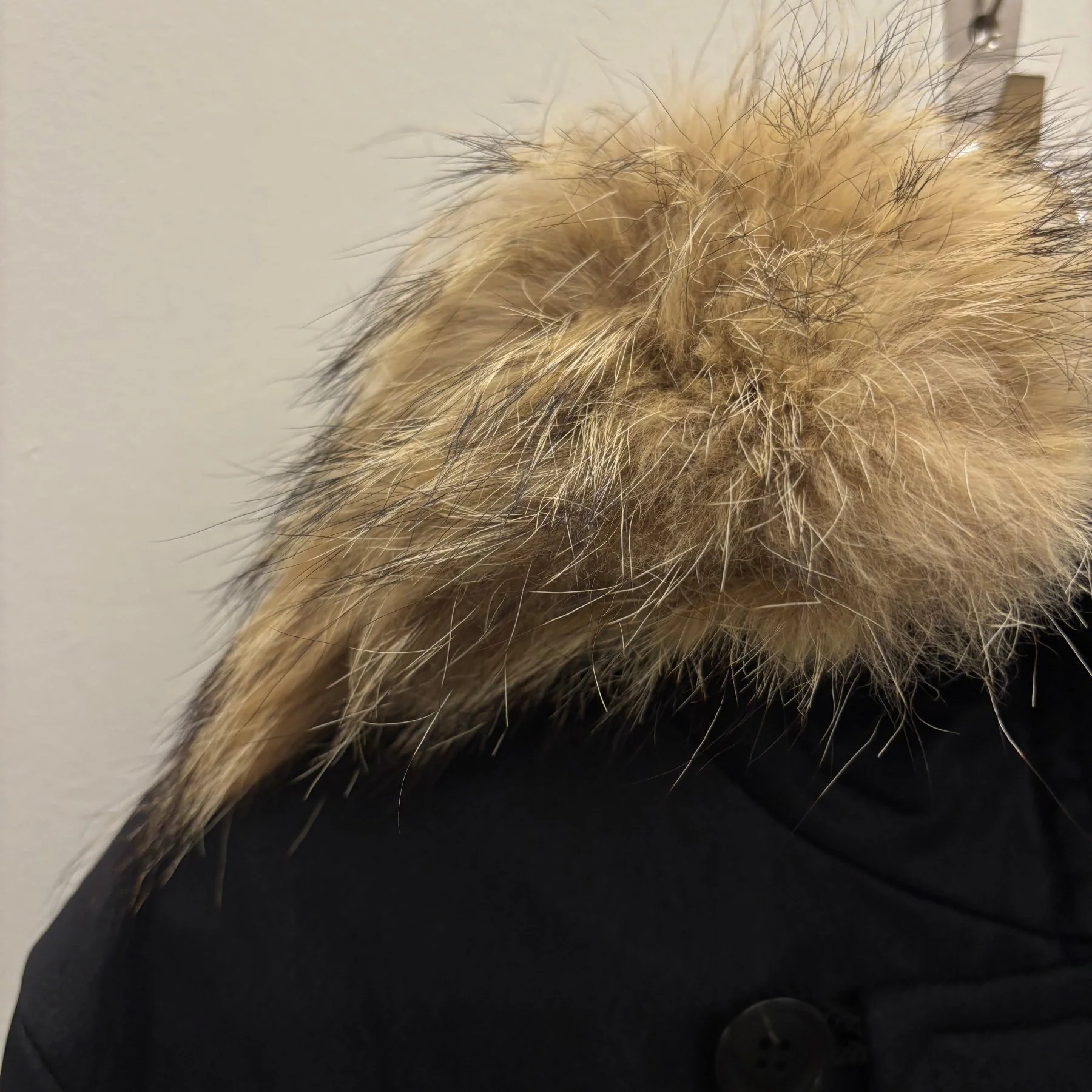 5351 Pour Les Hommes Fur Hooded Bomber Jacket - Image 4